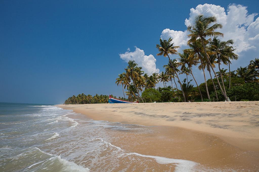 Marari Villas - Private Pool Villas Mararikulam Ngoại thất bức ảnh